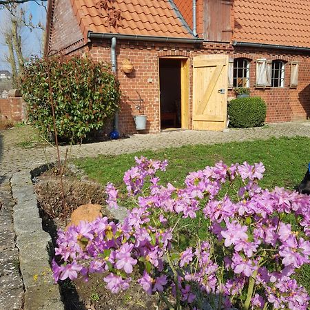 Ferienhaus Voern-Diek Hohnstorf Extérieur photo