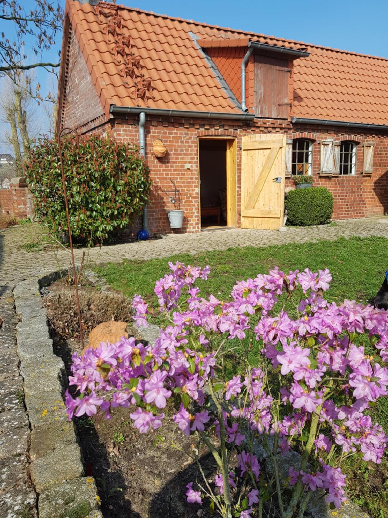 Ferienhaus Voern-Diek Hohnstorf Extérieur photo